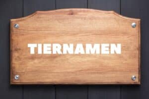 Tiernamen