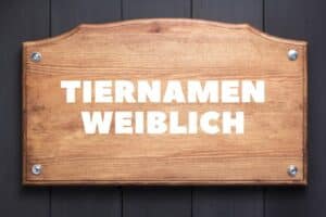 Tiernamen weiblich